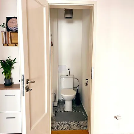 Apartment Renovated In Center, 3 Bedrooms, Lift *
